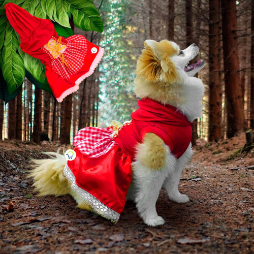 Disfraz Para Mascotas Caperucita