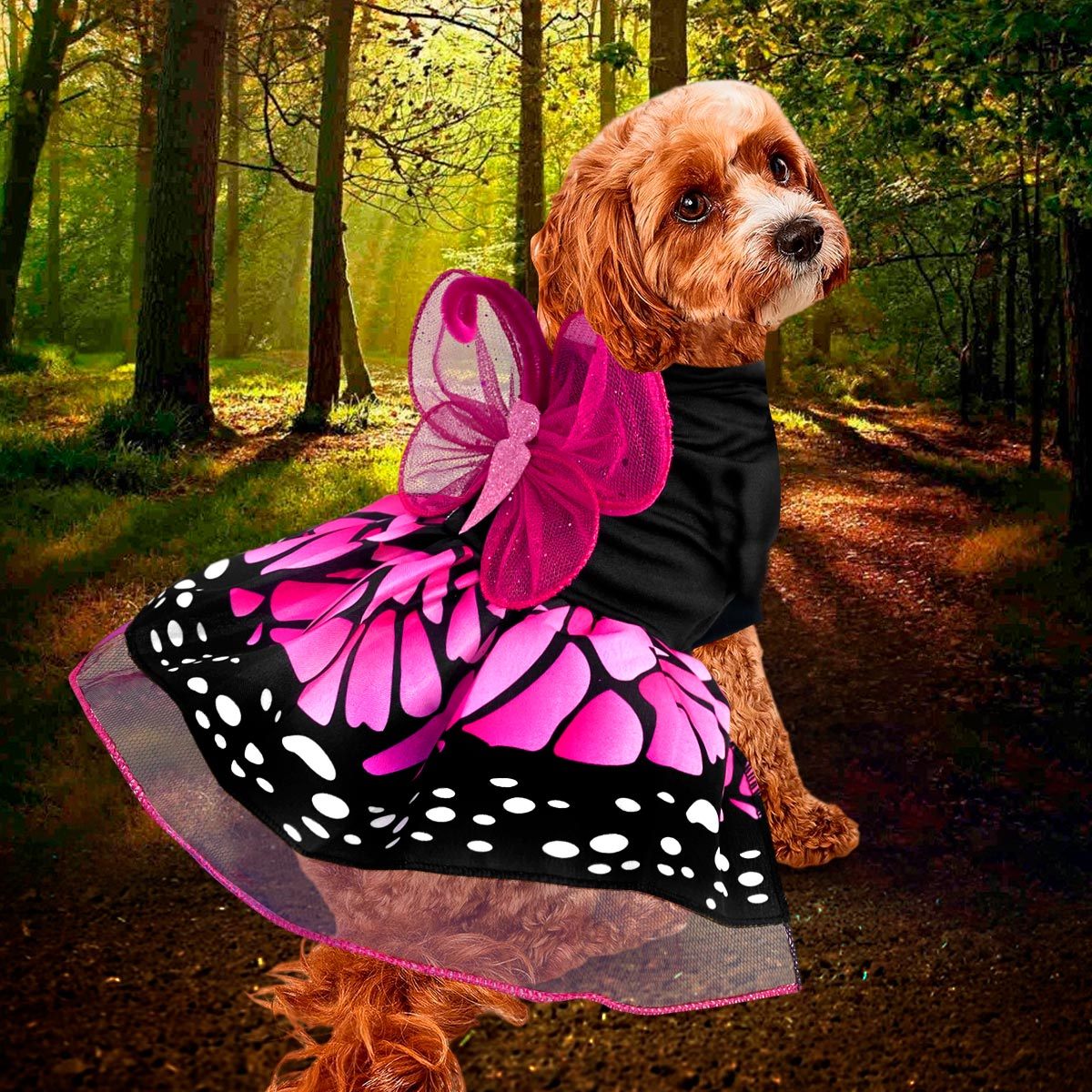 Disfraz Para Mascotas De Mariposa