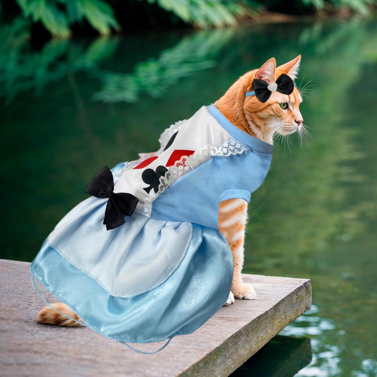 Disfraz Para Mascotas De Alicia