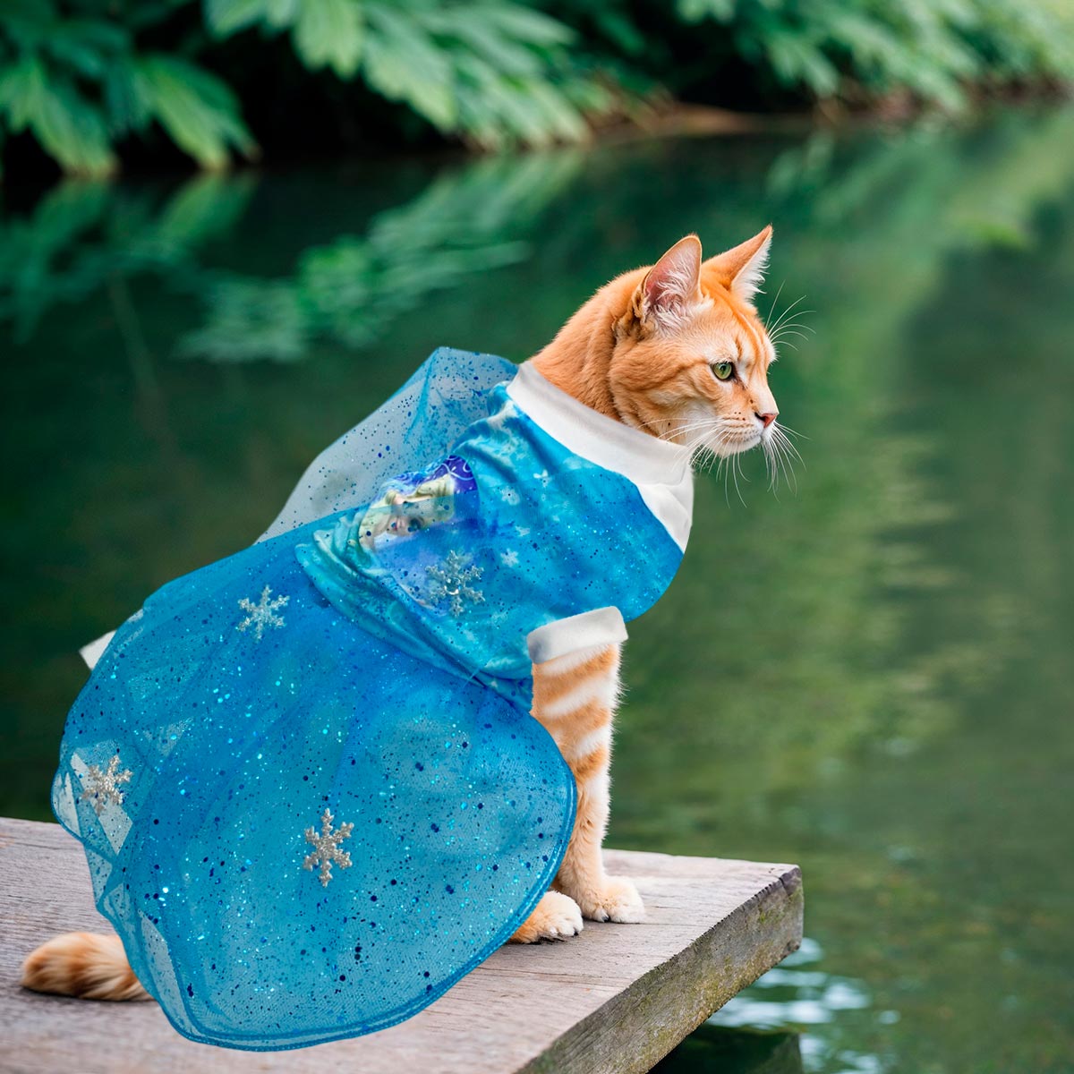 Disfraz Para Mascotas De Elsa