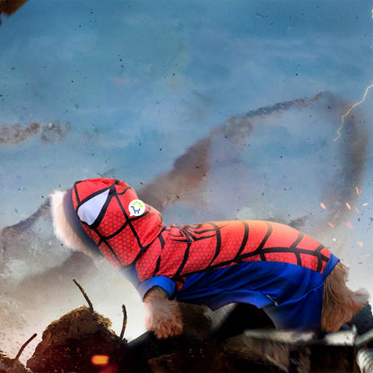 Disfraz Para Mascotas Hombre Araña