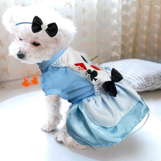 Disfraz Para Mascotas De Alicia